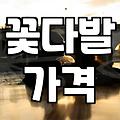 근처꽃집 예약 시 꽃 품질 확인하고 실패 없이 고르는 법