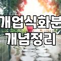 고급개업화분 선택 기준과 가격대 확인하기