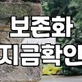 40대여자생일선물로 꽃을 고를 때 실수를 줄이는 현실적인 기준