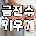 개업화분금전수 선택할 때 꼭 알아야 할 관리 환경과 식물 특징