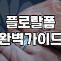 실패 없는 꽃바구니선물 고르는 기준과 관리 요령