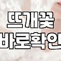 잠실 근처 뜨개꽃집 찾다가 동탄까지 갈 뻔 했네