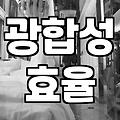 집안 분위기 바꾸는 이쁜식물 고를 때 실패하지 않는 법