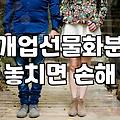 개업화분추천 기준과 관리하기 쉬운 식물 고르는 법