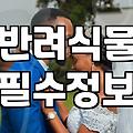 실내 공기정화 식물, 제대로 고르는 법