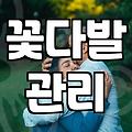 장미꽃100송이 준비할 때 알아야 할 현실적인 조언
