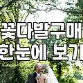 급하게 꽃을 사려다가 괜히 서두르기만 했다