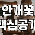 장미꽃 한 송이 가격, 따져보니 생각보다 복잡하네?