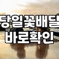 당일 꽃배달, 정말 3시간 안에 도착할까? 현직자의 솔직한 경험담