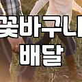 꽃바구니 배달, 굳이 비싼 돈 쓸 필요 없는 이유와 현실적인 팁