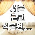 화원 꽃농원 데이트, 서울/경기권에서 가볼 만한 곳 없을까?