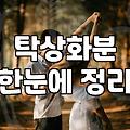 영전을축하드립니다 문구와 함께 실속 있는 화분 고르는 기준