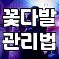 특별한 날 건네는 꽃다발, 실패 없이 준비하는 실전 팁