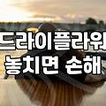 안개꽃 관리법과 오랫동안 형태를 유지하는 보관 방법
