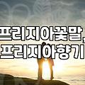 프리지아 꽃, 그 향기로운 매력과 실용적인 정보