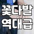 실패 없는 졸업식꽃 선택을 위한 현실적인 조언