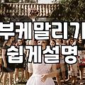 드라이플라워를 집에 들이기 전, 우리가 몰랐던 현실적인 고민들