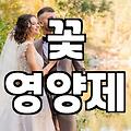 해바라기꽃다발 선물할 때 실패하지 않는 전문가의 실전 조언