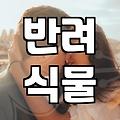 봉담화원 이용하기 전 알아야 할 식물 관리와 구매 전략
