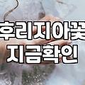 프리지아꽃다발 관리 방법과 계절별 가격대와 구매 팁