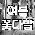 수국꽃다발 가격과 생명력을 결정하는 3가지 관리법