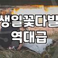 꽃다발종류 선택할 때 알아야 할 실속 있는 기준과 특징