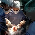 선릉역피부과, 성형 트렌드의 이면: 알고 보니 위험할지도?