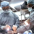리가먼트 리가먼트 시술 정보와 선택 가이드 전문가 팁 대공개