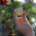 풀스택 개발자: 꿈을 현실로 만드는 비결!
