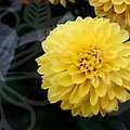 한식조리사로의 첫걸음, 당신도 할 수 있어요!