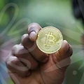 초등학생을 위한 화상영어의 모든 것! 어떻게 선택할까?