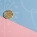 프리랜서웹디자이너로 성장하는 5단계 자기개발 전략과 실전 활용법