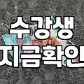 원데이클래스 신청 전 반드시 따져봐야 할 3가지 기준