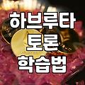 하브루타 교육 방식과 실전에서 느끼는 체감 효과