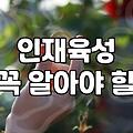 자기개발 성과를 결정짓는 구체적인 학습 전략과 시간 투자법