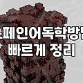 스페인어 기초부터 델레 자격증까지 혼자 공부하는 현실적인 방법
