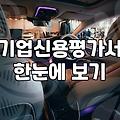 기업 신용평가서 하나 떼려다 진이 다 빠져버렸다