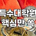 30대 직장인의 지극히 현실적인 자기계발 고민: 특수대학원과 평생교육원 사이에서 길을 잃다
