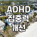 ADHD 집중력 저하, 약물 없이 시간 관리와 생활 습관으로 개선할 수 있을까?