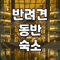 반려견과 함께 편안한 휴식, 제대로 된 강아지모텔 고르는 법