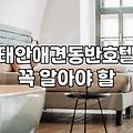 현실적으로 바라본 태안반도 숙소 선택의 명과 암: 반려견과의 여행은 정말 힐링일까?