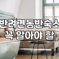 반려견과 함께하는 숙소, 현실과 기대 사이의 간극에 대하여