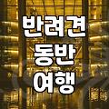 강원도 반려견 동반 숙소 찾을 때 미리 체크해야 할 현실적인 부분들