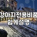 실패 없는 반려견동반펜션 선택을 위해 반드시 확인해야 할 체크리스트