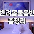 애견모텔 선택 시 반드시 확인해야 할 현실적인 주의사항과 체크리스트