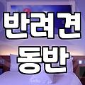 공주애견동반숙소 선택할 때 반드시 확인해야 할 실전 체크리스트