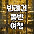 애견동반파티룸 예약 전 확인해야 할 필수 이용 수칙