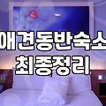 애견모텔 선택 시 반드시 확인해야 할 시설 기준과 이용 요금