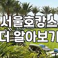 강남 한복판에서 멍하니 있다 온 주말