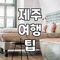 제주 여행, 뻔한 코스보다 현실적인 고민들